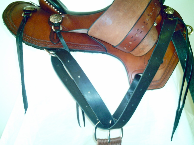 Rigging & Features Skyhorse Saddles